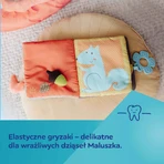 Canpol Babies, плюшевый развивающий буклет, Лиса, с рождения, 1 шт.: цены и характеристики