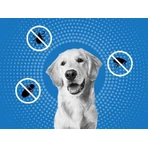 FRONTLINE spot-on for DOG S 3 x 0,67 мл 3x0,67 мл, раствор для собак: цены и характеристики