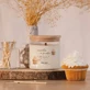 Nacomi Fragrances, соєвий віночок, ароматизатор, Ванільний кекс, 450 г