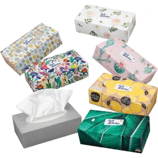 Soft&Sicher Erveele 100 шт, 100 шт, коробка 100 4L 4layer