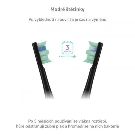 TrueLife SonicBrush Clean30 Black Звуковая щетка: цены и характеристики