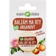 Бальзам для губ Purity Vision Bio Argan 12 мл 1×1 шт