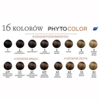 Phyto Color, барвник для воску, 6 темно-русявий, 50 мл: ціни та характеристики