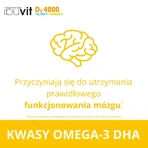 Ібувіт D3 4000 + К2МК-7 Омега, 30 капсул: ціни та характеристики
