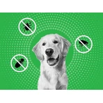 FRONTLINE COMBO spot-on for DOG L 3 x 2,68 мл 3x2,68 мл, раствор для собак: цены и характеристики