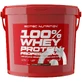 SciTec Nutrition 100% Whey Protein Professional Chocolate 5000 г