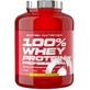 SciTec Nutrition 100% Whey Protein Professional лимонно-творожный торт 2350 г