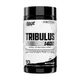 Nutrex Research
