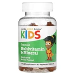 Мультивітаміний комплекс Multivitamin Kids California Gold Nutrition Комплекс з мультивітамінами та мінералами для дітей 60 желейок: ціни та характеристики