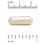 Здоров'я мозку, Brain Health, California Gold Nutrition, 60 веганських капсул: ціни та характеристики