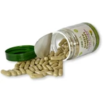 Гастро – Комфорт Virdol Gastro – Comfort капсулы 550 мг №90: цены и характеристики