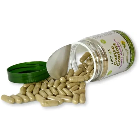 Гастро – Комфорт Virdol Gastro – Comfort капсулы 550 мг №90: цены и характеристики