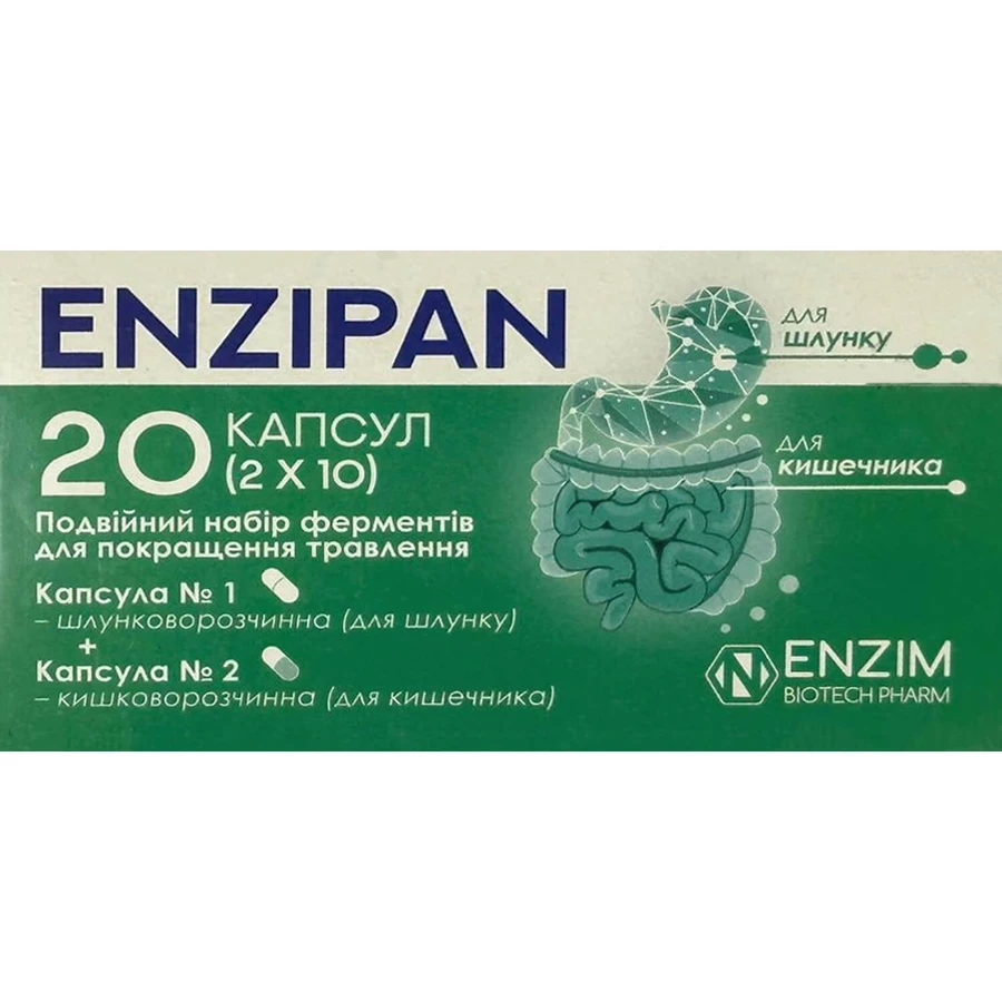 Энзипан Enzipan капсулы №20: цены и характеристики