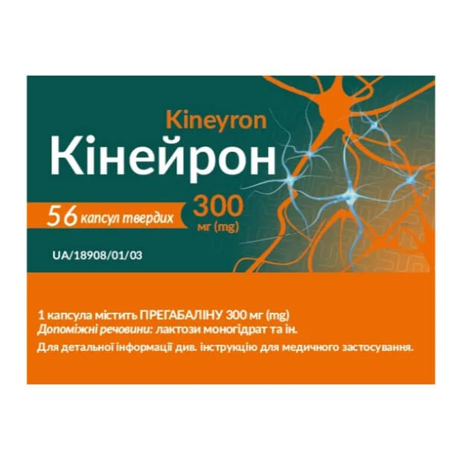 Кинейрон капсулы тв. по 300 мг №56 (7х8): цены и характеристики