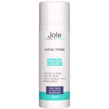 JOLE Toner AHA+PHA Acids Тонер з AHA + PHA кислотами 200ml