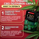 Потрійна сила CBD (КБД) сприяє зменшенню відчуття тривожності та психоемоційної напруги, стресу флакон 60 шт: ціни та характеристики
