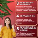 Потрійна сила CBD (КБД) сприяє зменшенню відчуття тривожності та психоемоційної напруги, стресу флакон 60 шт: ціни та характеристики