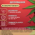 Потрійна сила CBD (КБД) сприяє зменшенню відчуття тривожності та психоемоційної напруги, стресу флакон 60 шт: ціни та характеристики
