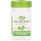 Відхаркувальний засіб, Ivy Extract, Nature's Way, екстракт плюща, 50 мг, 90 веганських таблеток (25 мг на таблетку)