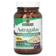 Астрагал, 500 мг, Astragalus, Nature's Answer, 60 вегетарианских капсул