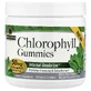 Хлорофилл, вкус мяты, Chlorophyll Gummies, Nature's Answer, 60 жевательных конфет