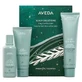 Набор șampon pentru păr Aveda Scalp Solutions, 100 мл + лосьон pentru păr, 100 мл + тратамент эксфолиант pentru scalp, 150 мл