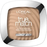 L Oreal Paris True Match Mattifying Powder 2C Cool Undertone, 9 г