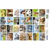 Stickere Animale