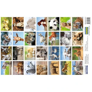 Stickere Animale