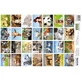 Stickere Animale