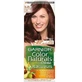 Garnier Culoarea părului 5.25 Светлый радужный каштан