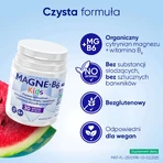 Магне-В6 Кидс/ Magne-B6 Kids для детей от 4 лет со вкусом арбуза, 30 жевательных таблеток: цены и характеристики