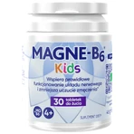 Магне-В6 Кидс/ Magne-B6 Kids для детей от 4 лет со вкусом арбуза, 30 жевательных таблеток: цены и характеристики