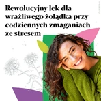 Іберогаст Баланс Bayer Iberogast Balance, краплі пероральні, 50 мл: ціни та характеристики