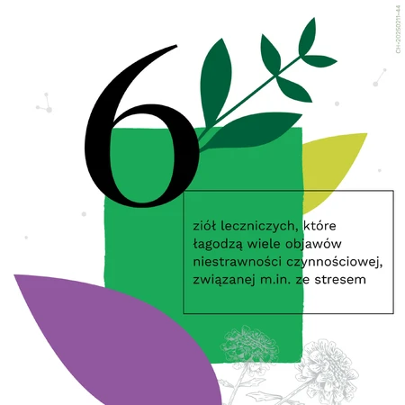 Іберогаст Баланс Bayer Iberogast Balance, краплі пероральні, 50 мл: ціни та характеристики