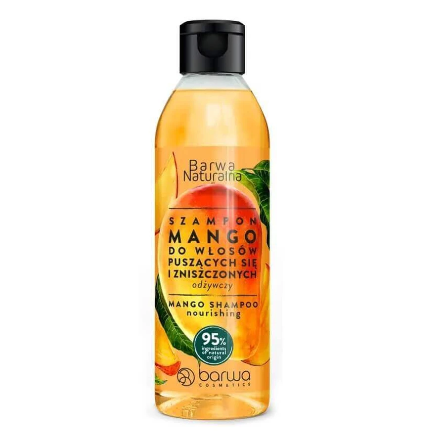 Șampon pentru păr Barwa Natural Mango, 300 мл: цены и характеристики