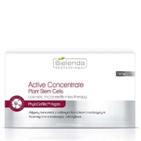 Bielenda Concentrat activ cu celle stem vegetale, 10 x 3 мл