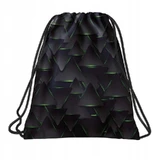 Резервна копія, Geantă pentru pantofi Cyber Triangles, 1 бук.