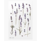 Декоративна лаванда Autocolante flori lavanda