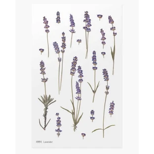 Автоколонна декоративная flori lavanda