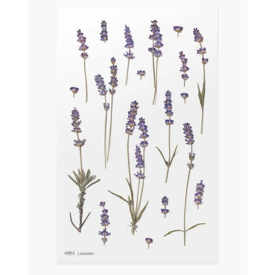 Автоколонна декоративная flori lavanda: цены и характеристики