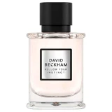 David Beckham Follow Your Instinct Eau de Parfum, 50 мл
