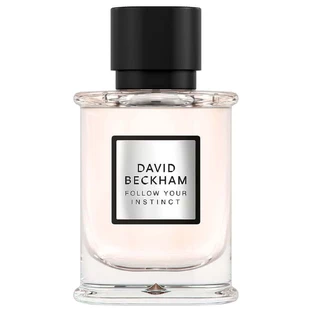 David Beckham Follow Your Instinct Парфумована вода, 50 мл
