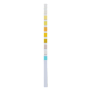 Тест-полоска Home Laboratory URS 10 General Urinalysis для комплексного анализа мочи, 2 шт.