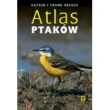 Атлас птахів