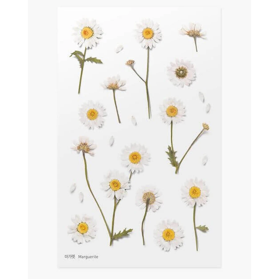 Декоративные стикеры cu flori Margarets: цены и характеристики