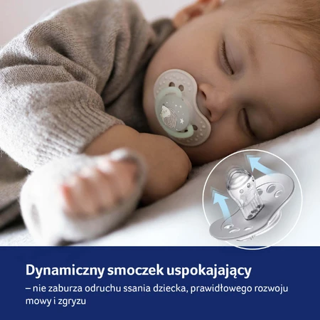 Lovi Night & Day, manechin, silicon, dinamic, Arici, de la 18 luni, 2 bucăți: ціни та характеристики