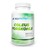 Allnutrition Coleus Forskohlii, 90 капсул