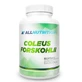 Allnutrition Coleus Forskohlii, 90 капсул