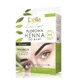 Хна для брів Delia Eyebrow Expert Powder Eyebrow Henna 1.0 Black, 4 г